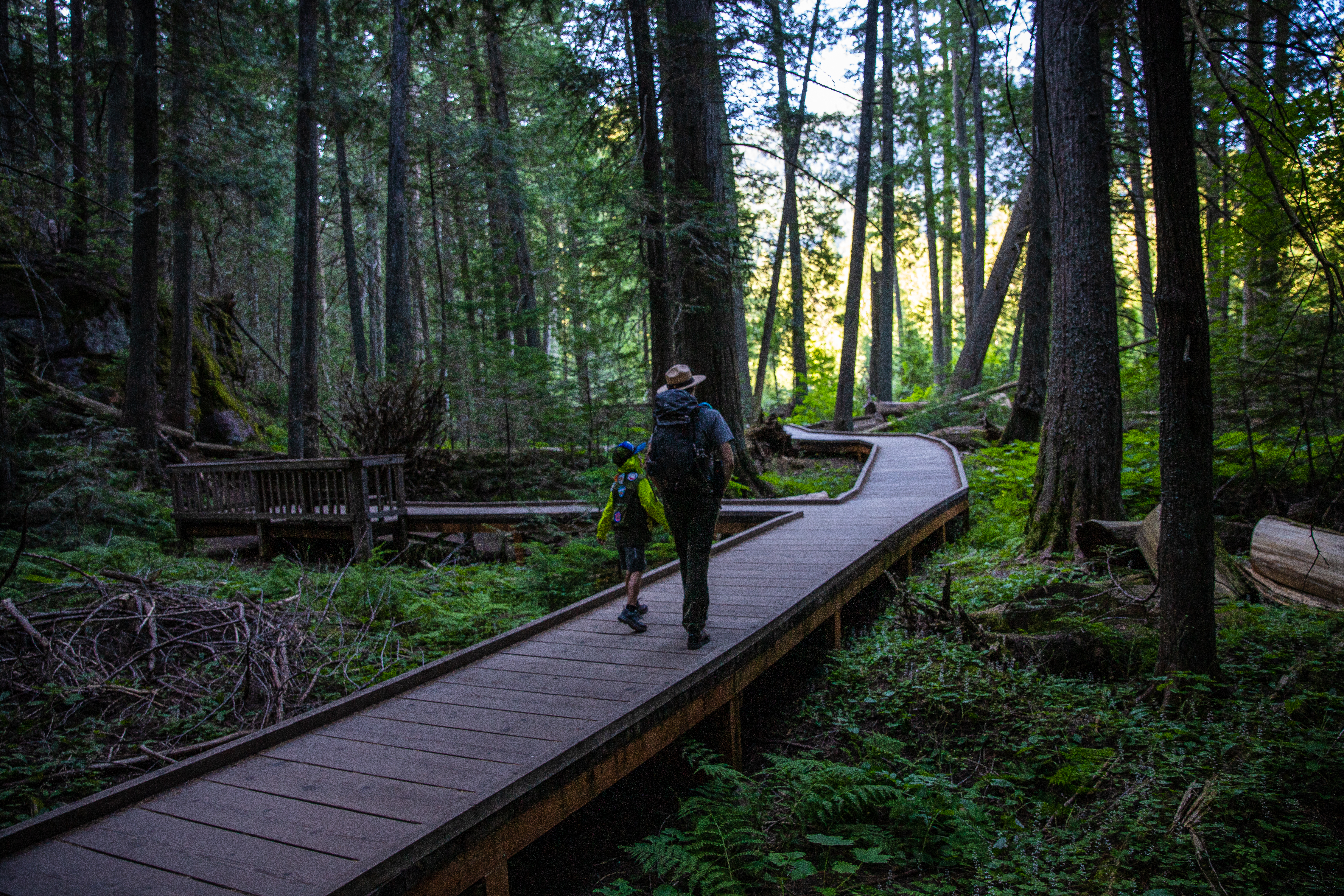Trail of the Cedars, Glacier National Park
